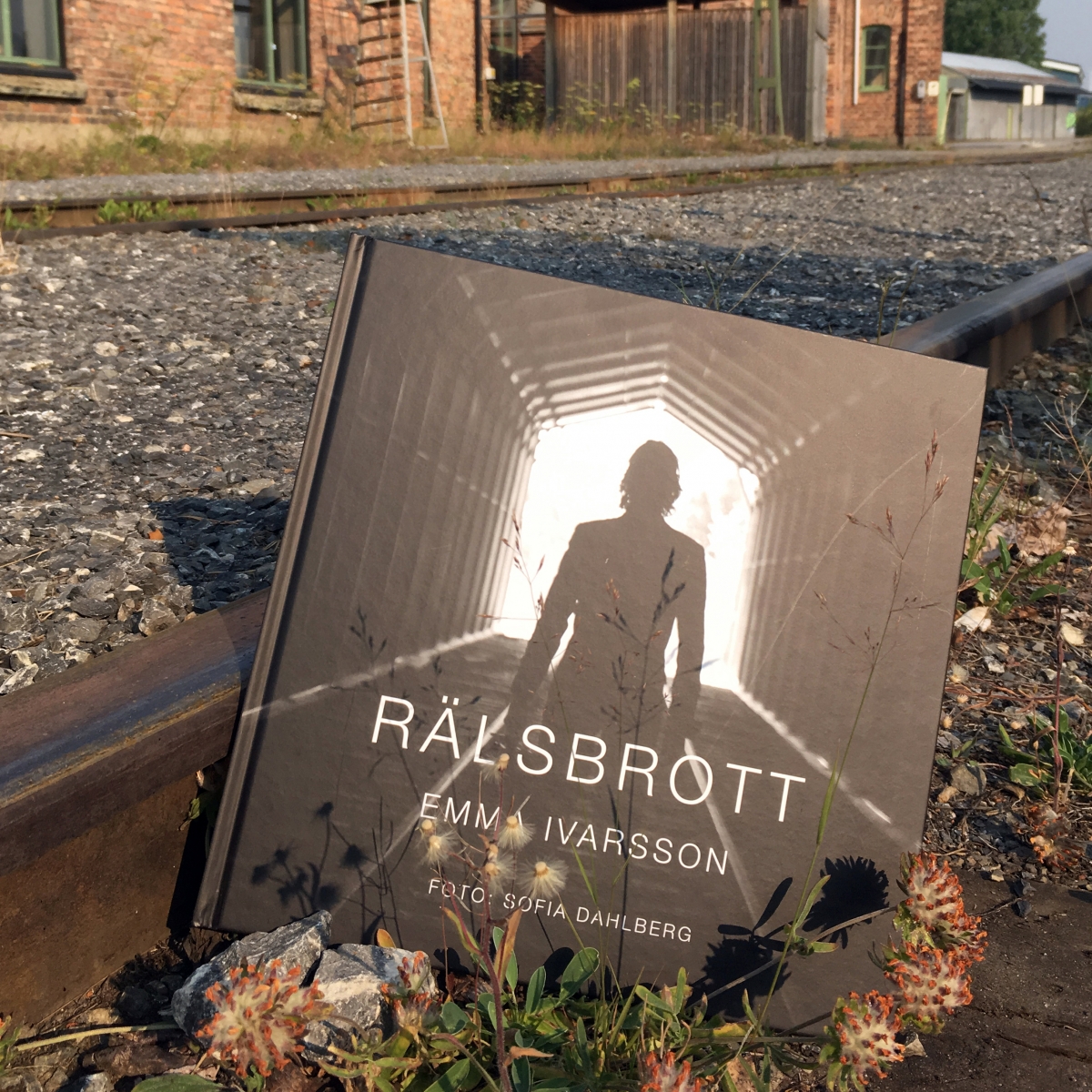 Så här ser boken "Rälsbrott" ut